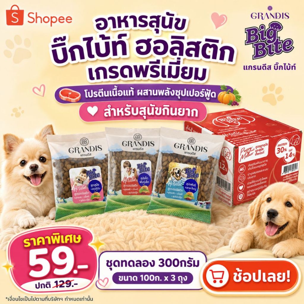 [ชุดทดลอง] GRANDIS BigBite Holistic 100g x3 แกรนดีส บิ๊กไบ้ท์ ฮอลิสติก อาหารสุนัข ซองทดลอง พกพาสะดวก