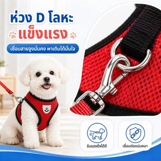 PETWELL สายรัดอกแมวพร้อมสายจูง สายรัดอกสุนัข ระบายอากาศได้ดี สำหรับแมวและสุนัขตัวเล็ก
