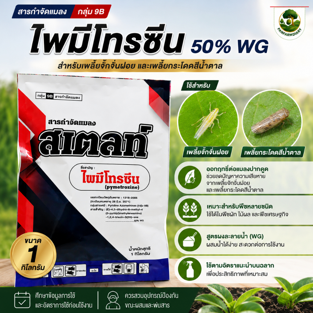 สเตลท์ ไพมีโทรซีน ขนาด 1 กก. สารป้องกันเเมลง เด่น เพลี้ยจั๊กจั่นฝอย เพลี้ยไก่เเจ้ เพลี้ยแป้ง ในทุเรียน