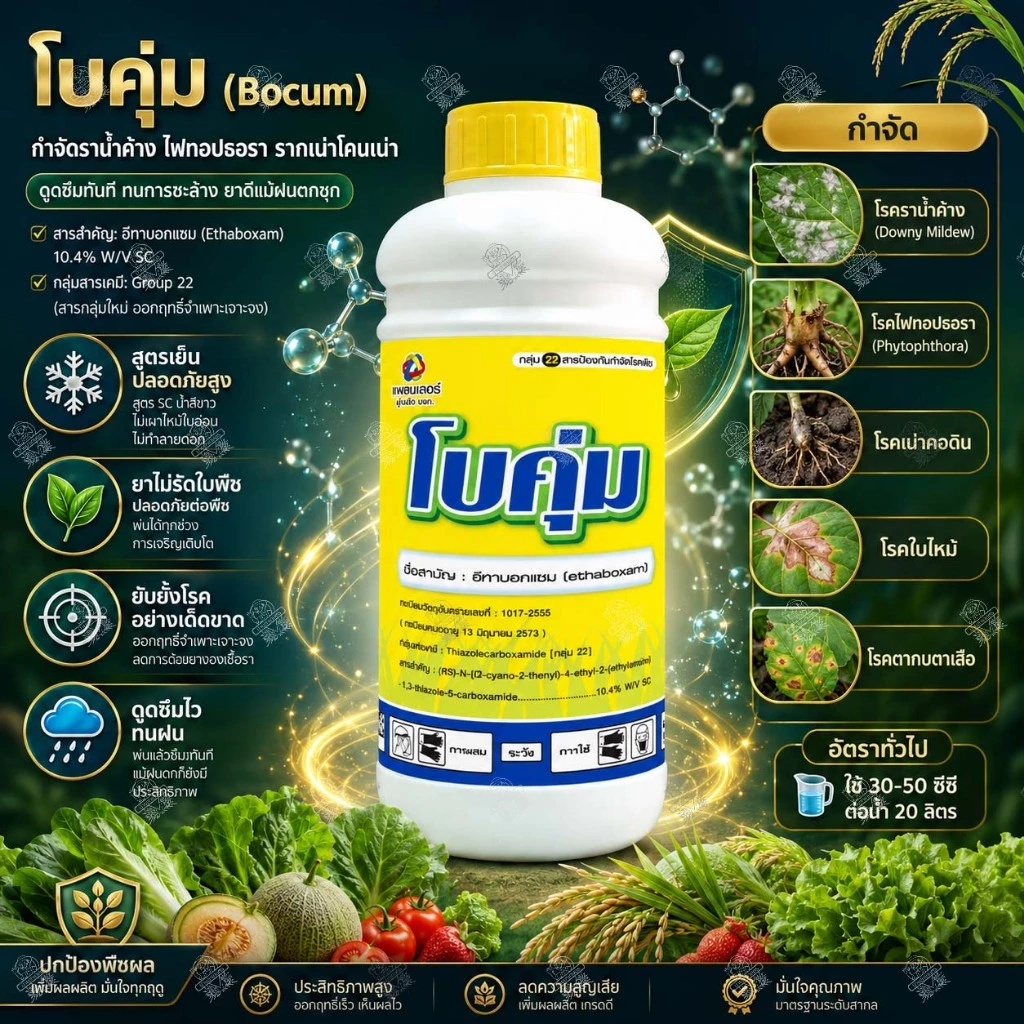 ยาเชื้อรา โบคุ่ม 500cc และ 1 ลิตร สารอีทาบอกแซม แก้โรคราน้ำค้างในแตง ไฟทอปธอราทุเรียน รากเน่าโคนเน่า