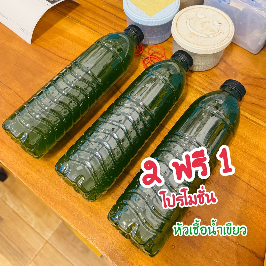 หัวเชื้อน้ำเขียว น้ำเขียวคลอเรลล่า โปรโมชั่น 2 ฟรี 1