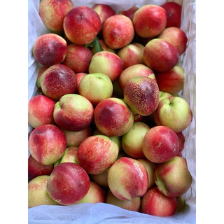 เนคทารีน (1kg) มีเนื้อเหลืองและขาว อร่อยกรอบๆสรรพคุณเยอะมาก