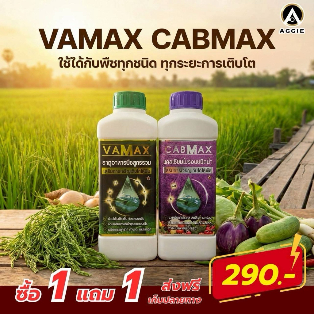 ชุดปุ๋ย VAMAX และ CABMAX สำหรับพืช