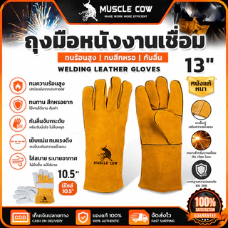 MUSCLE COW ถุงมือหนังงานเชื่อม 10.5"/13" ทนความร้อนสูง กันไฟ กันสึกหรอ ใช้งานเชื่อมโลหะได้ปลอดภัย