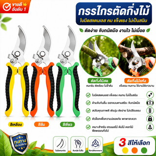 SK5 กรรไกรแต่งกิ่งสแตนเลส เครื่องมือจัดทำสวน กรรไกรตัดกิ่งสำหรับจัดสวนอย่างมืออาชีพ