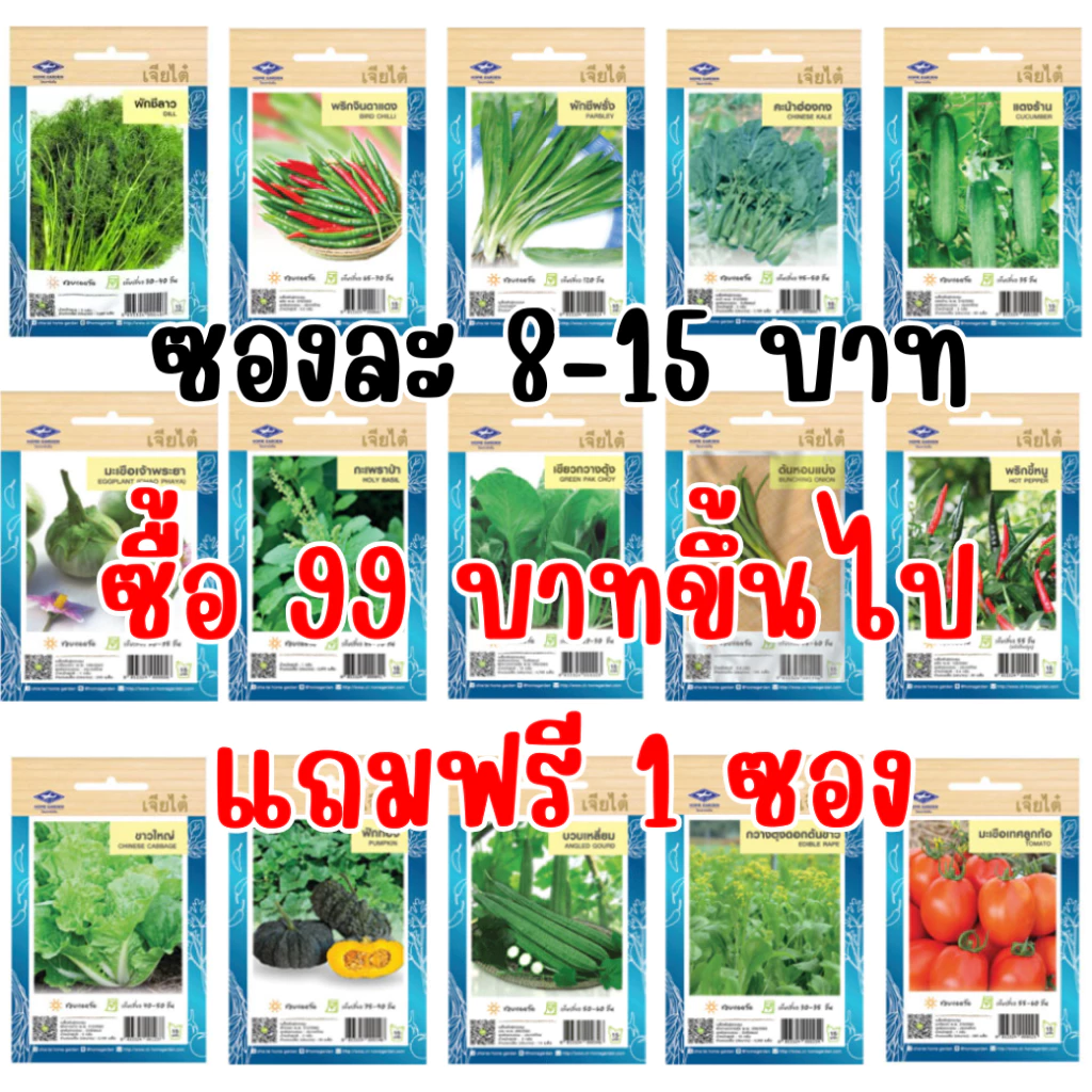 เมล็ดผักเจียไต๋ OP ของแท้ ซองละ 8-15 บาท ซื้อยอด 99 บาทขึ้นไปแถมฟรี 1 ซอง thumbnail 3