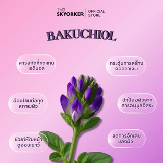 EQQUALBERRY Vitamin Illuminating & Bakuchiol Plumping Serum 30ml