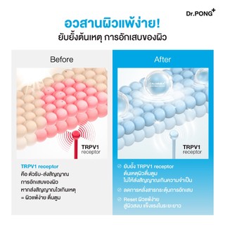 [ฟรีของแถม] Dr.PONG CalmMEA 1.5 soothing cream มอยส์เจอร์ไรเซอร์ บำรุงผิวชุ่มชื้น ลดผิวอักเสบ แดงคัน ปลอบประโลมผิว