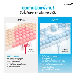 Dr.PONG CalmMEA 1.5 Soothing Cream มอยส์เจอร์ไรเซอร์สูตรครีม ช่วยเติมความชุ่มชื้น ปลอบประโลมผิวแห้ง