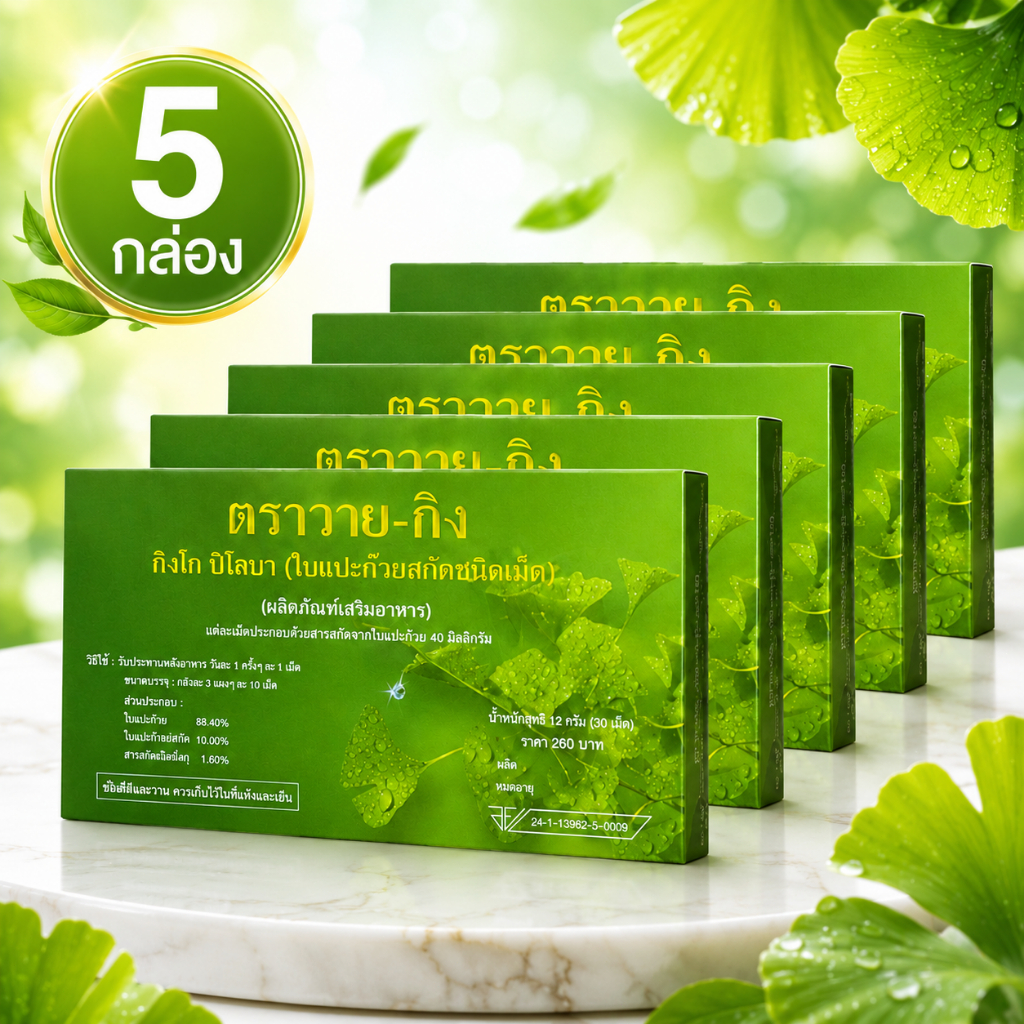 Y-GINK เม็ดสกัดใบแปะก๊วย แบรนด์ Y-GINK (แพ็ค 5 กล่อง)