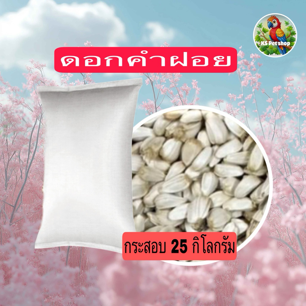 เมล็ดทานตะวันขาว โปรตีนสูง เหมาะกับนกและสัตว์ฟันแทะ ขนาด 200-500 กรัม
