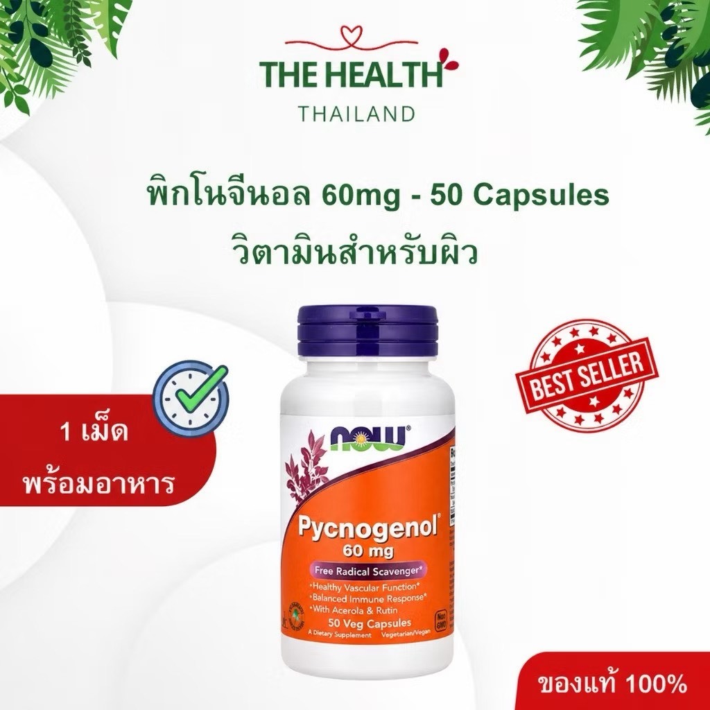 Now Pycnogenol - พิกโนจีนอล อาหารเสริมสำหรับผิว ขนาด 50 แคปซูล