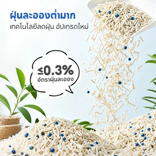 【PET RECORD】ทรายแมวผสม 6L/2KG ดับกลิ่นดีเยี่ยม จับก้อนแข็ง ฝุ่นน้อย ทรายเต้าหู้+เบนโทไนท์