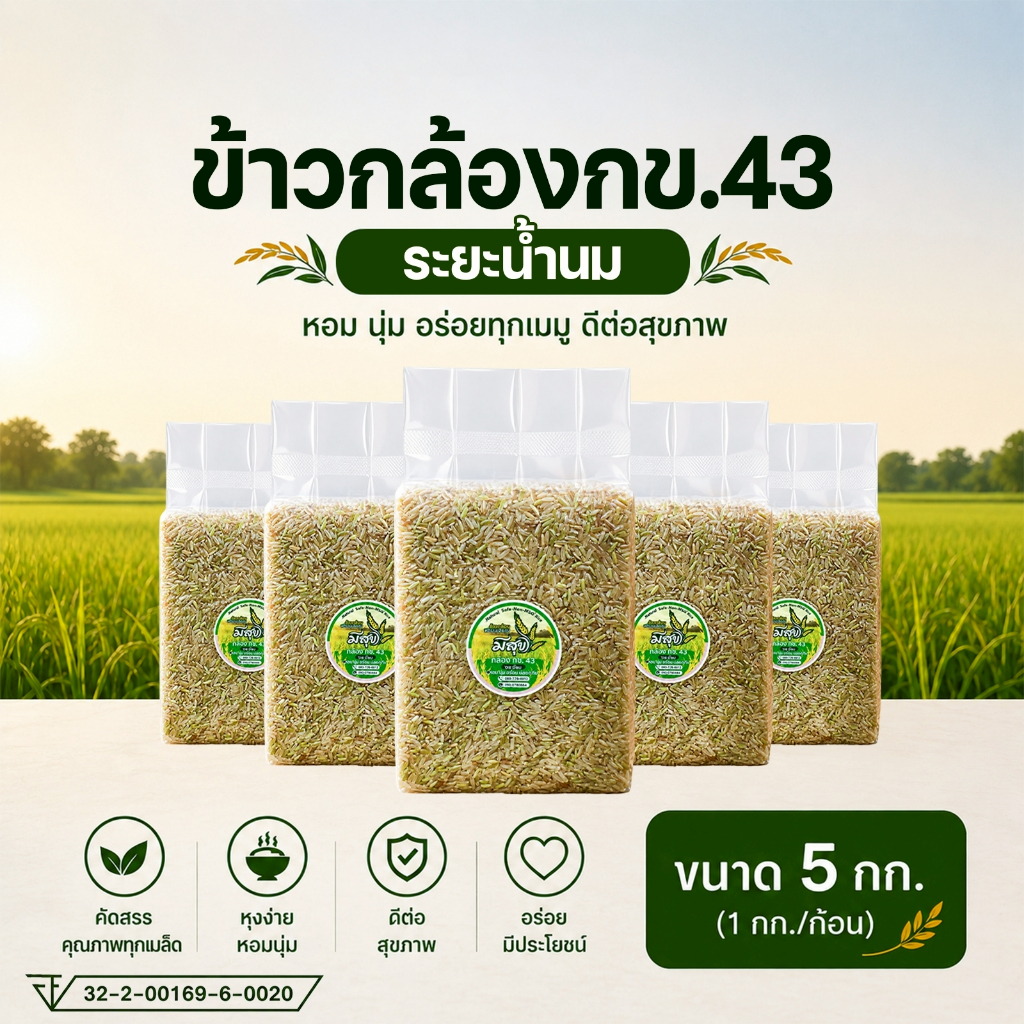 ข้าวกล้อง กข.43 ระยะน้ำนม แพ็คคุ้ม 5 กก. ตรามีสุข ซีลสูญญากาศ สดใหม่จากแหล่งผลิต