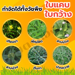 กลูโฟซิเนต-มดจอมพลัง ขนาด 4 ลิตร กำจัดวัชพืชทุกชนิด ในสวนทุเรีน ยาง ปาล์ม ไล่ร่องมันสำประหลัง อ้อย หัวคันนา