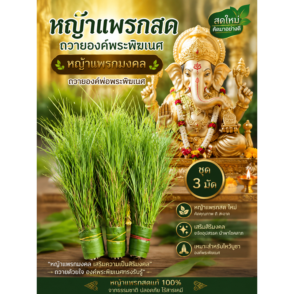 หญ้าแพรกสด ตัดตามออเดอร์ก่อนส่ง ถวายพระพิฆเนศ ชุด 3 กำ (1