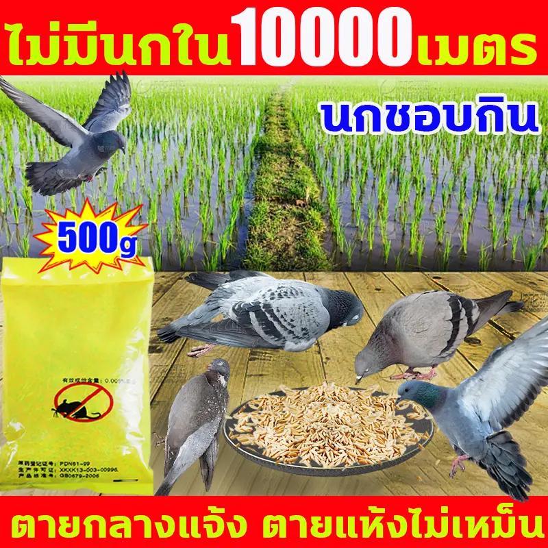 เหยื่อกำจัดนก ยาฆ่านกพิราบ 500กรัม ยากำจัดนกพิราบ ทำลายอวัยวะภายในตายใน