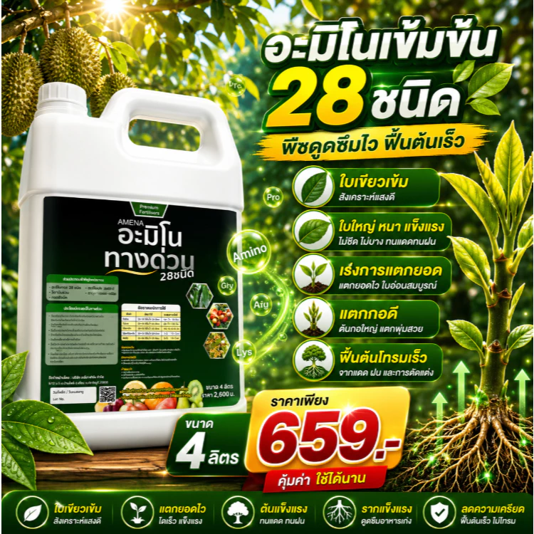 อะมิโนทางด่วน เร่งโต ฟื้นฟูพืชโทรม แตกยอดเร็ว ใบเขียว แข็งแรง พืชสมบูรณ์ โตไว 4ลิตร