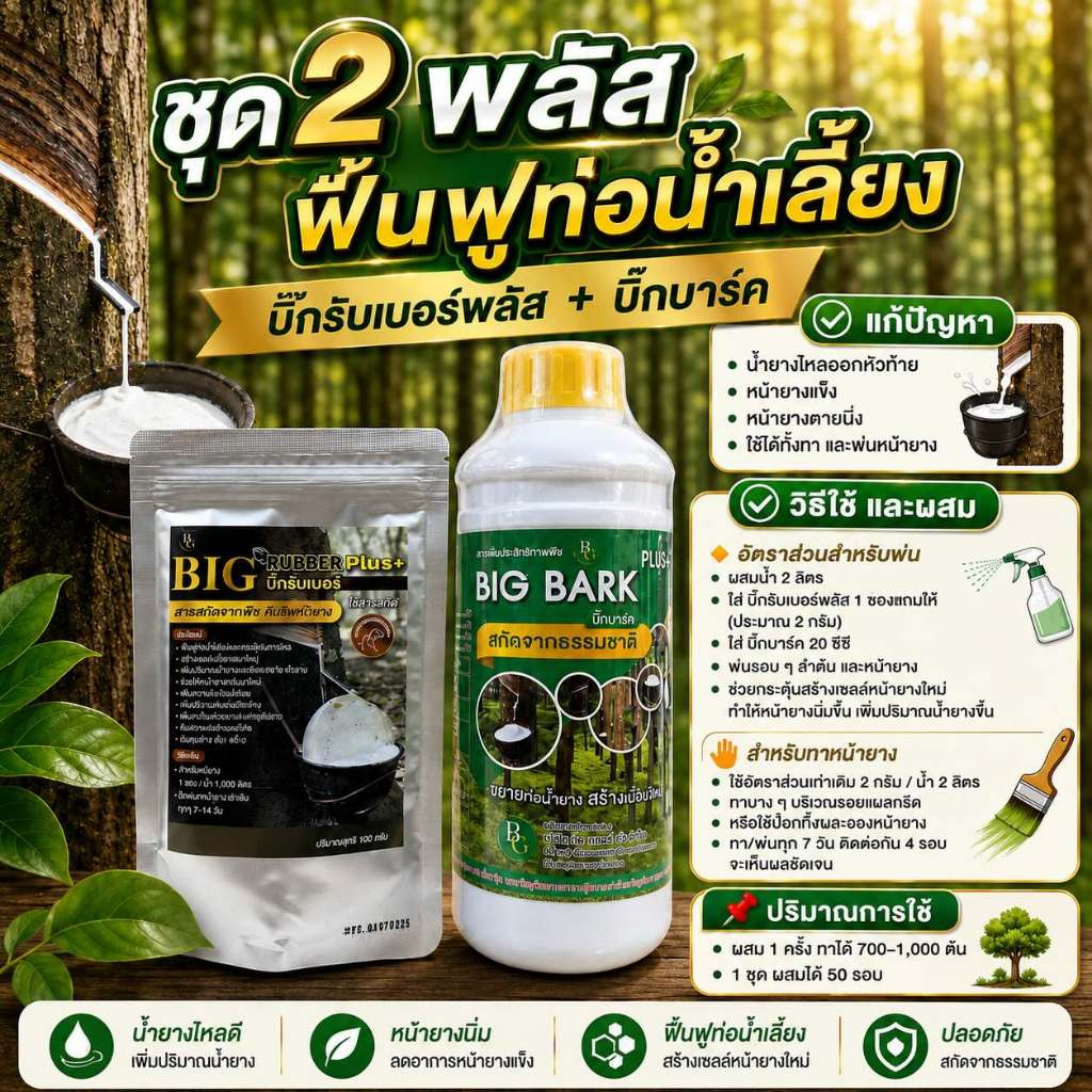 ชุด 2 พลัส ฟื้นฟูท่อน้ำเลี้ยงยางพารา | บีกรับเบอร์พลัส + บิ๊กบาร์ค | ฟื้นหน้ายาง เพิ่มน้ำยาง ขยายท่อน้ำเลี้ยง