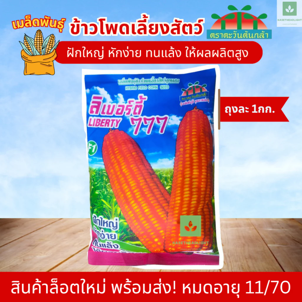 1กก. เมล็ดพันธุ์ ข้าวโพดอาหารสัตว์ ลิเบอร์ตี้ 777 ข้าวโพดไก่