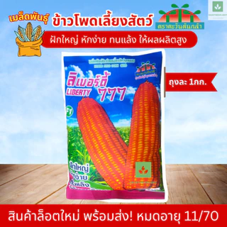 1กก. เมล็ดพันธุ์ ข้าวโพดอาหารสัตว์ ลิเบอร์ตี้ 777 ข้าวโพดไก่
