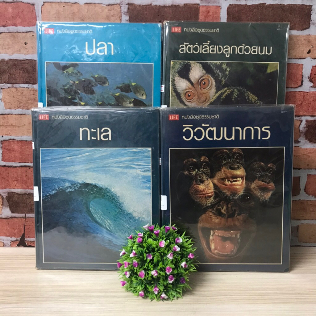 📚LIFE:ทะเล V9977 ปลา V9978 สัตว์เลี้ยงลูกด้วยนม V9979 วิวัฒนาการ V9980
