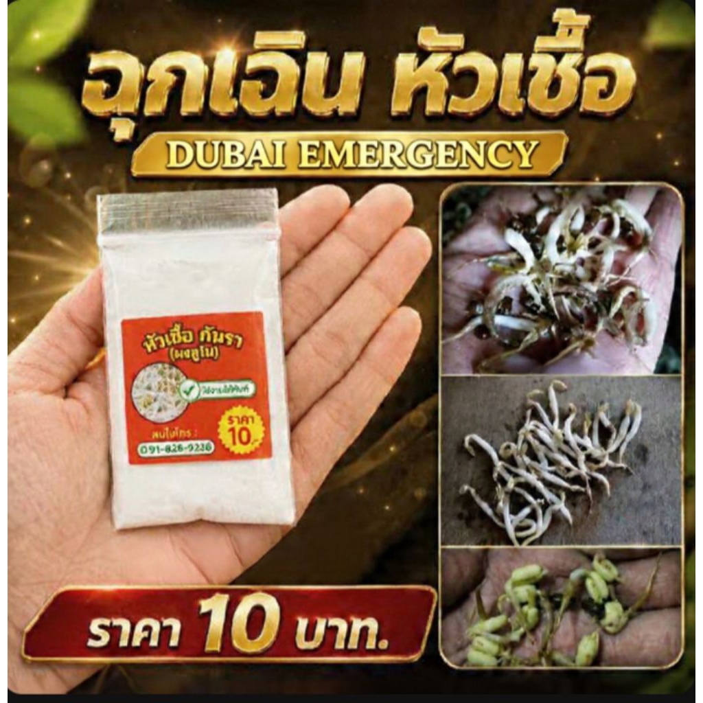 ตัวช่วย ฤดูฝน-หนาว ของถั่วงอก ฉุกเฉิน หัวเชื้อกันรา ปรับสภาพถั่วงอกได้ดีเยี่ยม📌 ซอง10บ-/20ซอง📌