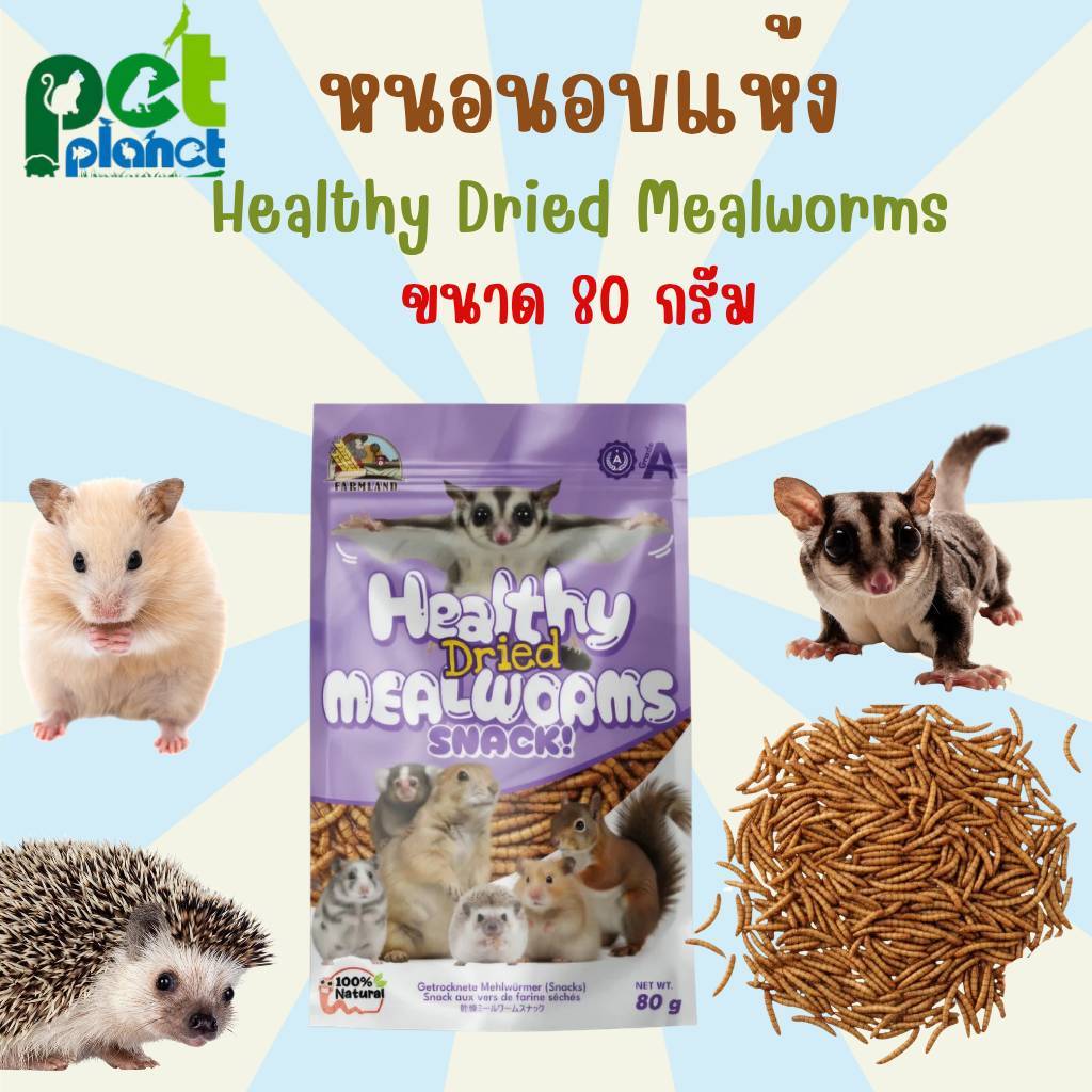 [80กรัม] หนอนอบแห้ง Farmland Mealworms ขนมสำหรับสัตว์เลี้ยง เม่นแคระ ชูก้าไกรเดอร์ หนูแฮมเตอร์ กระรอก รถด่วน สำหรับ สัตว