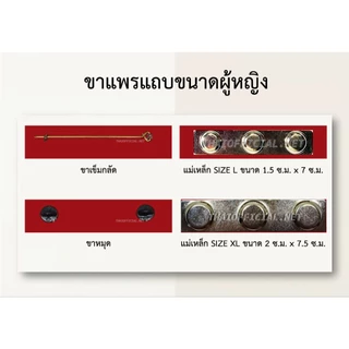แพรแถบจ่าสิบตรี - จ่าสิบเอก