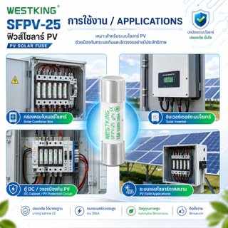 【แพ็ค10ชิ้น】 ลูกฟิวส์ DC 1000V 10x38mm SFPV-25 10A 12A 15A 16A 20A 25A 30A 32A DC ลูกฟิว ดีซี โซล่า ฟิวส์กระบอก