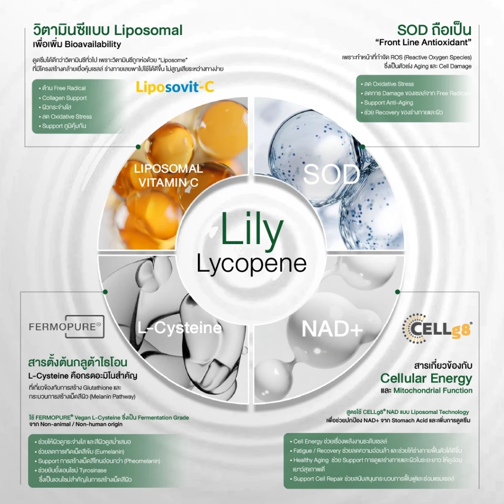 วิตามินแก้มแดง Black Magic Lily Lycopene (30 เม็ด) thumbnail 5