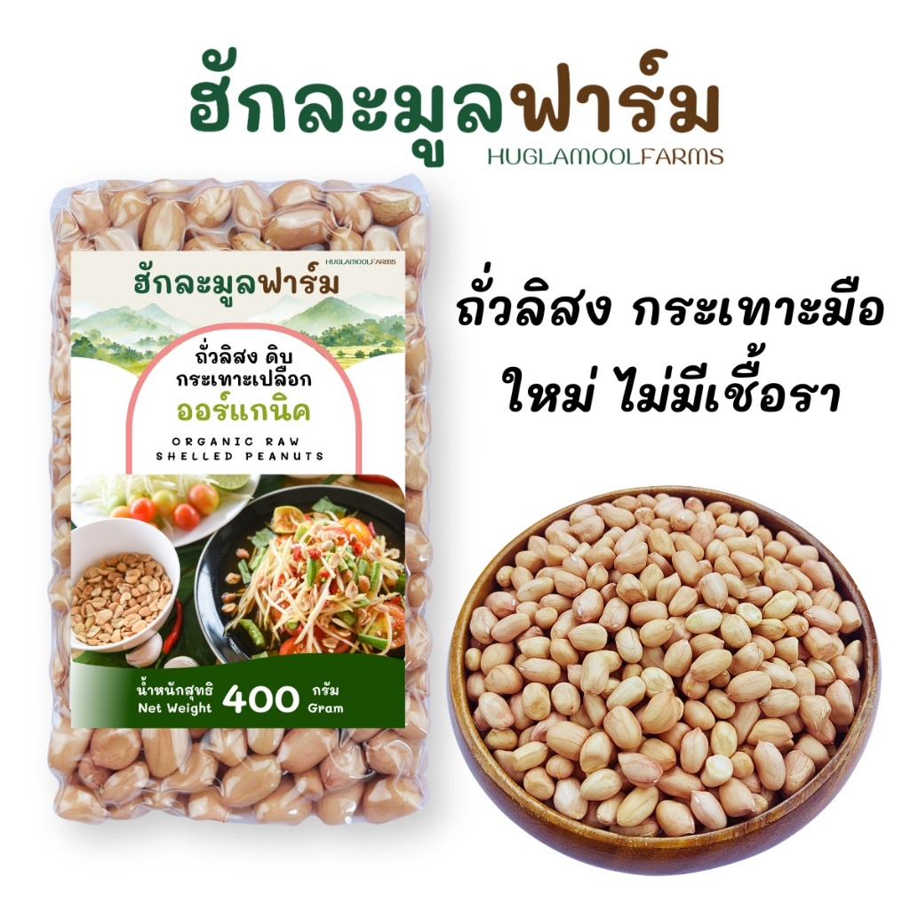 ถั่วลิสงไทย ออร์แกนิค 400กรัม กระเทาะเปลือก แกะมือ สดใหม่ ถั่วลิสงดิบ Huglamoolfarm Organic Raw Peanuts
