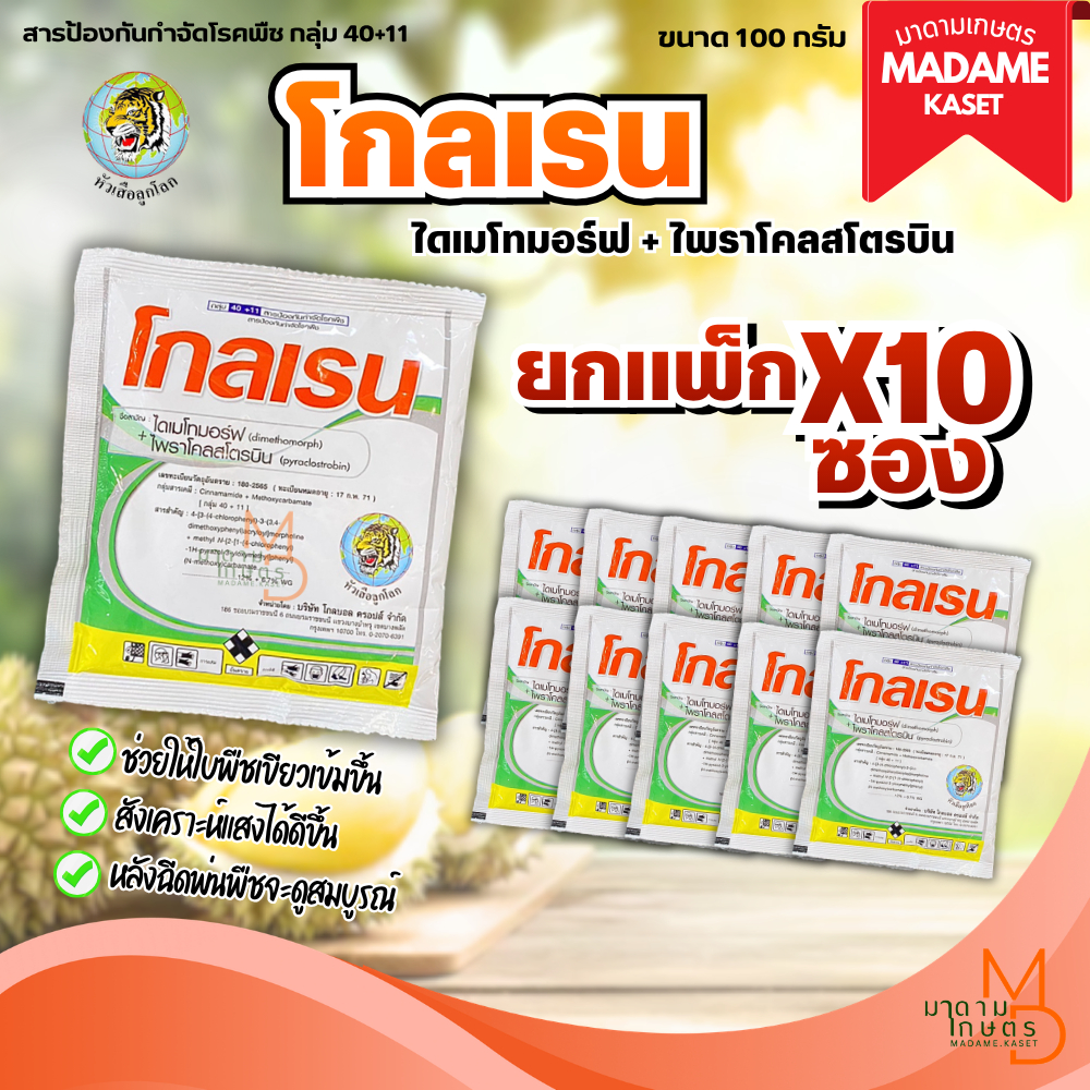 (ยกแพ็กx10ซอง) โกลเรน 100g (ไดเมโทมอร์ฟ+ไพราโคลสโตรบิน) ป้องและกำจัดเชื้อรา ราน้ำค้าง โรคใบไหม้ โรคใบจุดสนิม ไฟทอปเทอร์ร