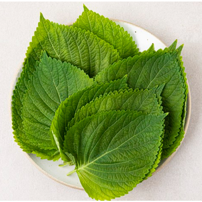 💦💦 [COOL] สินค้าแช่เย็น ใบงาเกาหลี สดใหม่! ขนาด100กรัม SEASAME LEAF 깻잎