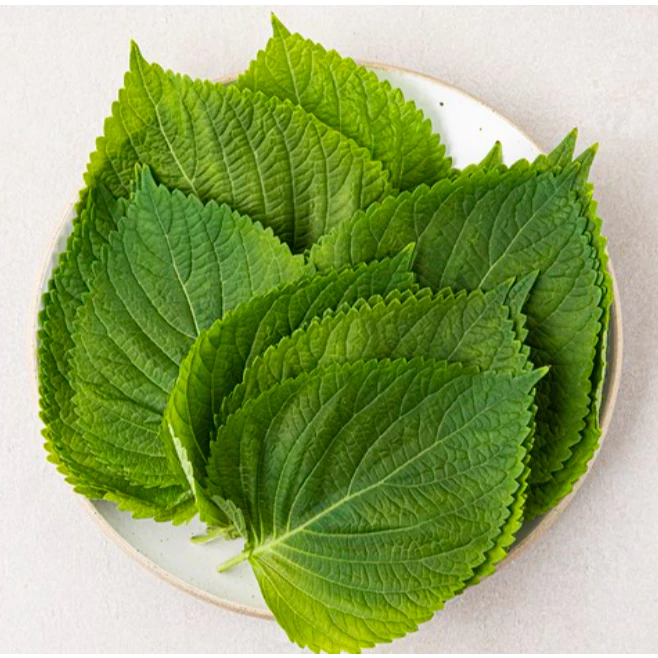 💦💦 [COOL] สินค้าแช่เย็น ใบงาเกาหลี สดใหม่! ขนาด100กรัม SEASAME LEAF 깻잎