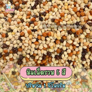 อาหารนกเขาเล็ก มิลเล็ตรวม 5 สี ปริมาณ 1kg.