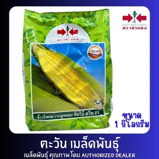 ข้าวโพดหวาน จัมโบ้สวีท เมล็ดพันธู์ ตราศรแดง บรรจุ 1กิโลกรัม