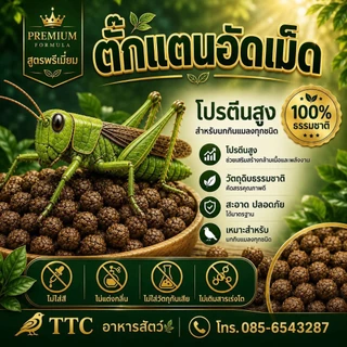 ตั๊กแตนอัดเม็ด+ไข่มดแดง