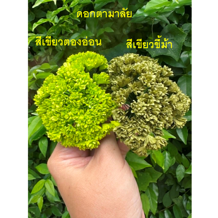 มาลัยแบนหน้าเดียว มาลัยคาดธูปเทียนแพ มาลัยแบนตกแต่งพาน รูปที่ 2