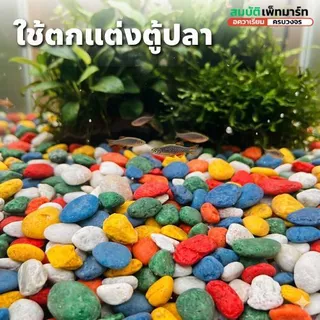 หินตกแต่งตู้ปลาและสวน ขนาด 500–1,000g. เพิ่มความสวยงามให้ตู้ปลา บ่อปลา สวนถาด กระถางต้นไม้ งานจัดสวน