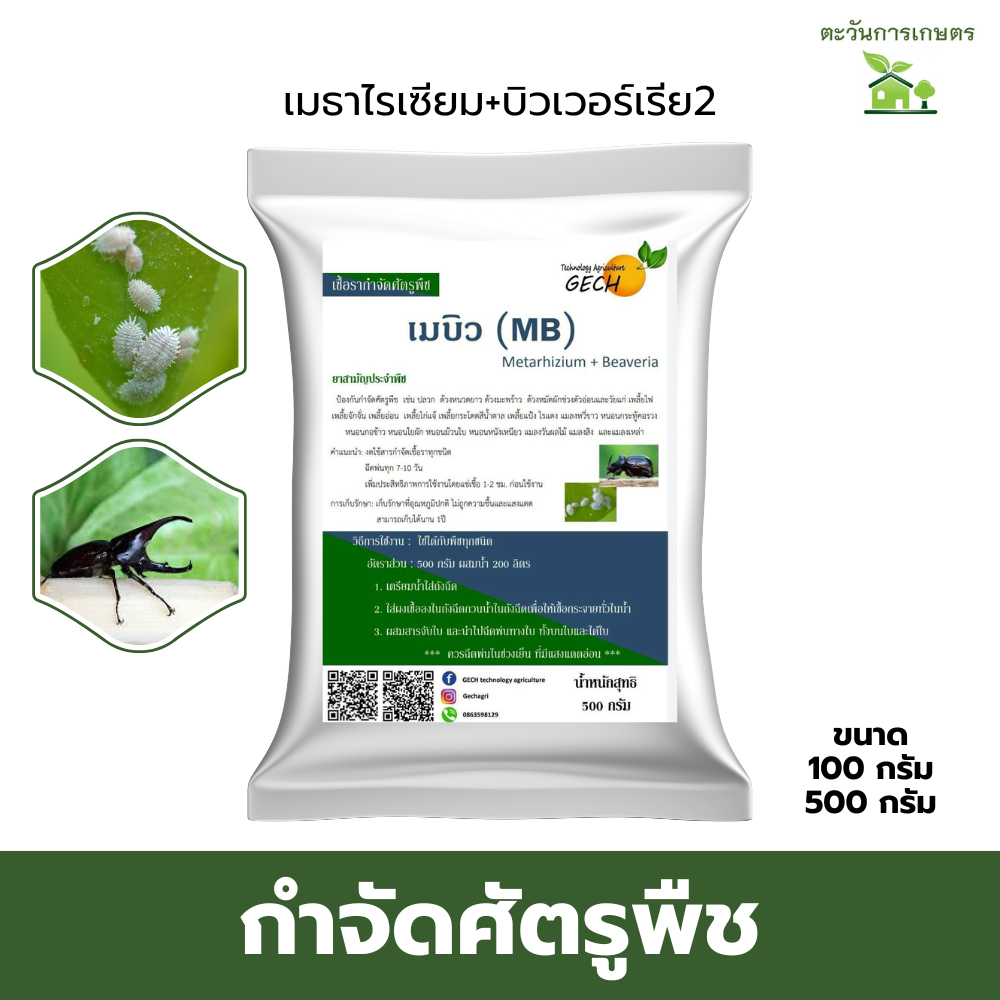 เมบิว​ เมธาไรเซียม​ บิวเวอร์เรีย​ 2​ คุณภาพกำจัดศัตรูพืช