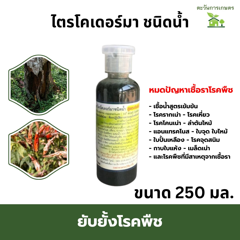 ไตรโคเดอร์มา​ tricoderma​ ​ชนิดน้ำสูตรเข้มข้นพร้อมใช้ ขนาด 250มล.