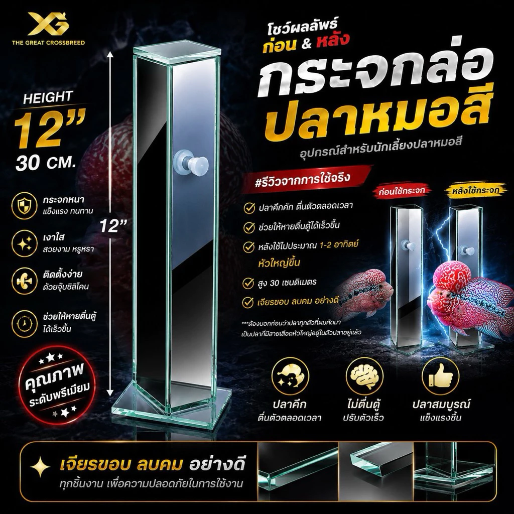 กระจกปลาหมอสี สูง 30 เซนติเมตร มีกระจกปิดด้านบน เจียรขอบ ลบคมอย่างดี งานละเอียด