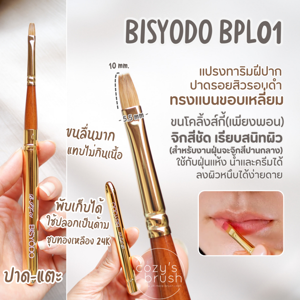 [Kolinsky+Pine Sq.] BISYODO - BSES03 Eye Shadow Brush