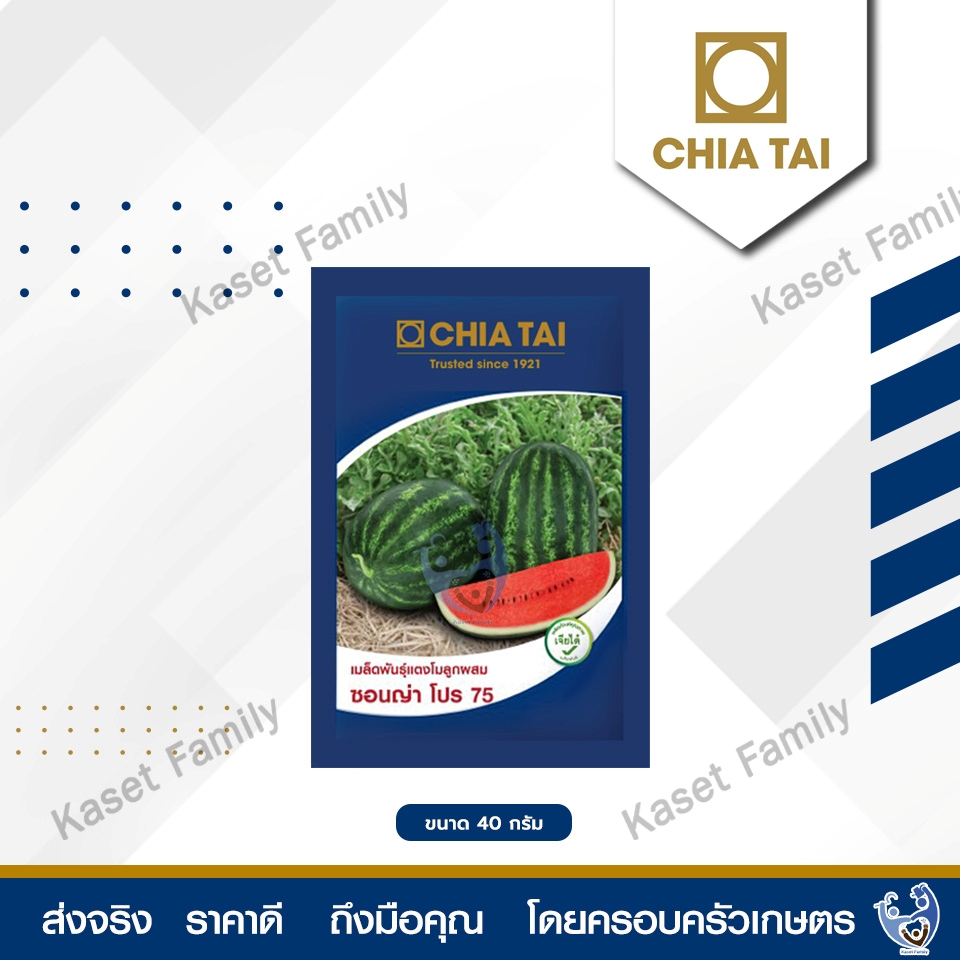 เมล็ดพันธุ์แตงโม แตงโมซอนญ่าโปร 75 ขนาด 1,000 เมล็ด
