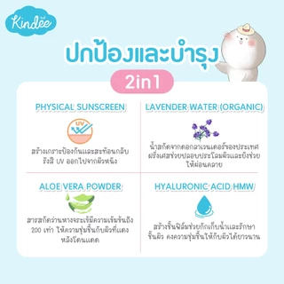 Kindee คินดี้ โลชั่นกันแดด ออร์แกนิค สูตรกันน้ำ SPF 50 PA+++