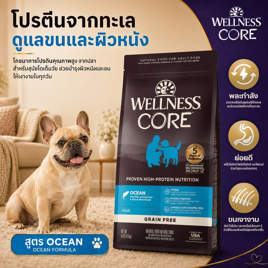 [ ส่งฟรี ]อาหารสุนัขพรีเมียม WELLNESS CORE สูตร Ocean 22lb(10kg) || 88437 ||Best By 15/07/2027||