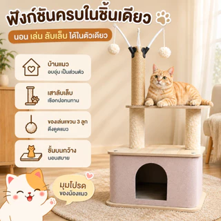 คอนโดแมวพร้อมบ้านแมว ที่ลับเล็บแมว เสาลับเล็บ ของเล่นแขวน 3 ลูก เตียงนอนแมว 2 ชั้น