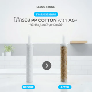 ไส้กรองน้ำฝักบัวเกาหลี Seoul Stone Pure Rain แพ็ค 4 ชิ้น 690.- (จากปกติ 1,000.-)