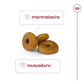 Royal Canin Mini Indoor Senior 3kg อาหารเม็ดสุนัขสูงวัยพันธุ์เล็ก เลี้ยงในบ้าน อายุ8ปีขึ้นไป